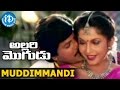 Allari Mogudu Movie Muddimmandi Video Song Mohan Babu Ramyakrishna Meena