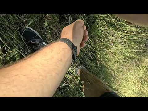 Traseu vf. Viscol, Coșnea