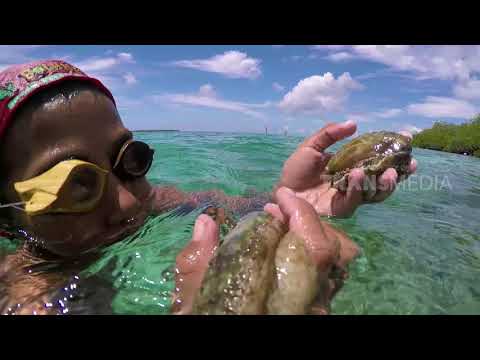 BOCAH PETUALANG | PETUALANG CILIK DARI BANGGAI (16/03/18) 3-3