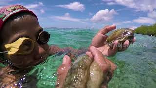 Download lagu BOCAH PETUALANG | PETUALANG CILIK DARI BANGGAI (16/03/18) 3-3 mp3 Download lagu BOCAH PETUALANG | PETUALANG CILIK DARI BANGGAI (16/03/18) 3-3 mp3