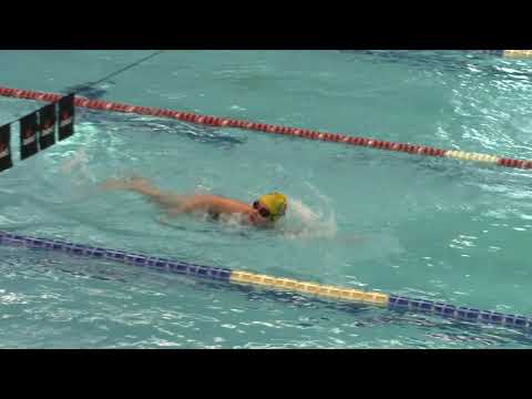 Toro Silvia (2) 100SL - Lucca 16.02.20