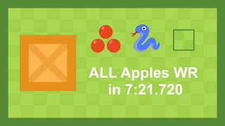 This might be my BEST Sokoban World Record yet!