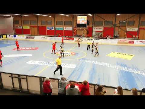 Meisterschaft NLA RHC Wimmis - RHC Genf 04.12.2021