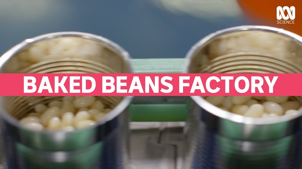 Watch video This is how your Baked Beans are made | Catalyst Now This is how your Baked Beans are made | Catalyst