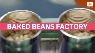 This is how your Baked Beans are made  |  Catalyst