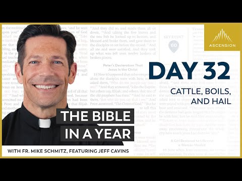Day 32: Cattle, Boils, and Hail — The Bible in a Year (with Fr. Mike Schmitz)
