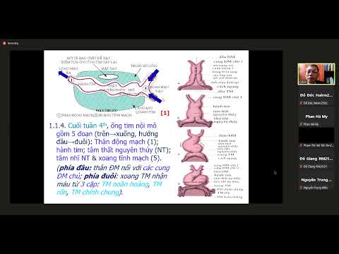 MÔ PHÔI SỰ HÌNH THÀNH HỆ TIM MẠCH I TOÀN CÁC MÔN DỄ + BÀI GIẢNG VIPRRO