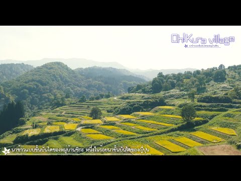 Oh!kura Village นาข้าวขั้นบันไดในสี่หมู่บ้าน（ภาษาไทย）
