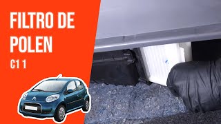 Youtube thumbnail of video "Filtro de polen / habitáculo"