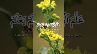 Download lagu Surah Al Alaq (The Clot) | Mishary Rashid Alafasy | سورة العلق mp3 Download lagu Surah Al Alaq (The Clot) | Mishary Rashid Alafasy | سورة العلق mp3
