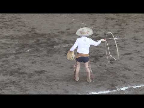 Manganas pie y a Caballo de Maq 501