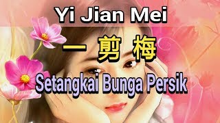 Yi Jian Mei - Setangkai Bunga Persik - 一剪梅