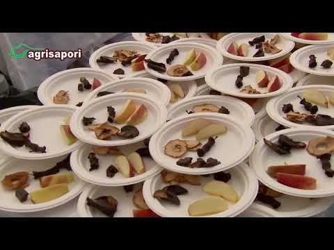 Fruttinfiore - Anteprima vini di Montelupo Albese