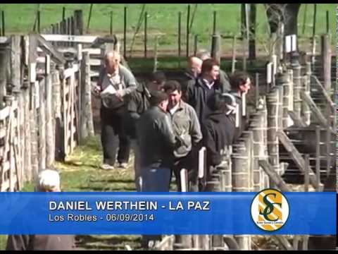 La Paz de Werthein - Nota Daniel Werthein - Los Robles - 06/09/2014