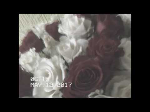 SZCZUREK - LABIRYNT [VIDEO]