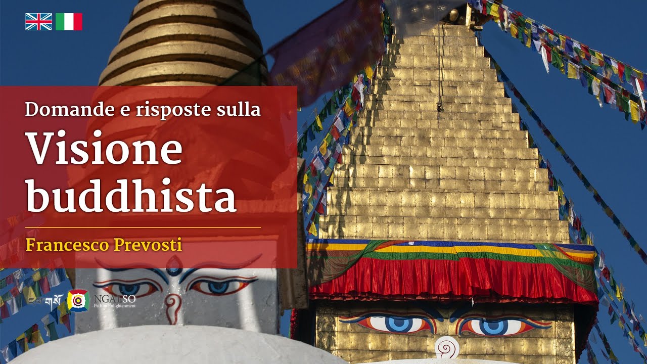 Domande e risposte con Francesco Prevosti
