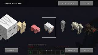 サバイバル生活3