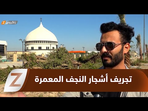 فيديو | النجف ..  غضب واسع بعد تجريف أشجار الحزام الأخضر المعمرة بحجة الاستثمار