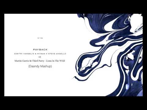 Dimitri Vangelis & Wyman vs Martin Garrix & Third Party Lions In The Payback (Daandy Mashup)