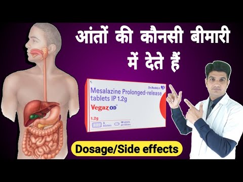 Meslamine 800 mg tablets