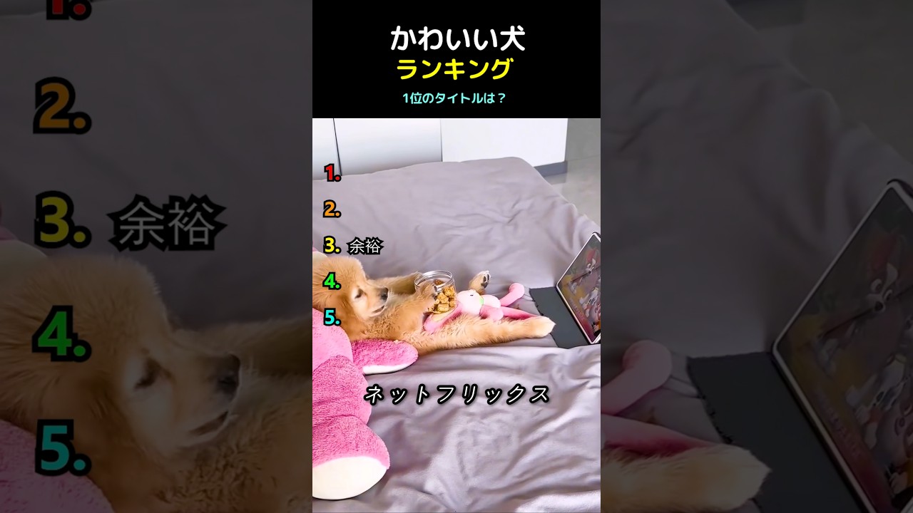 かわいい犬ランキング