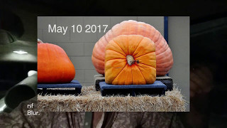 How to recognize opportunity. Diamonds and square pumpkins. Wttd. 42