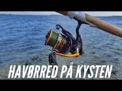 “Havrred P Kysten”