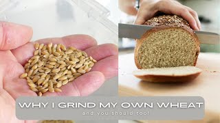 You NEED to be MILLING YOUR OWN WHEAT