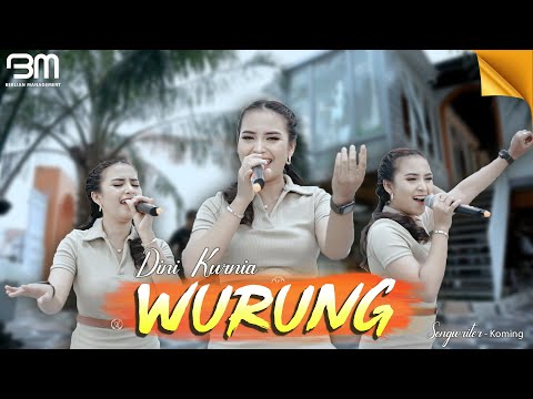 Dini Kurnia - Wurung (Official Music Video)