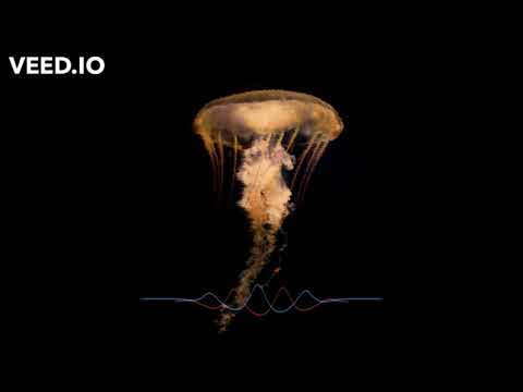 GRAZZE, Deeparture & Dan Soleil - Blacklight