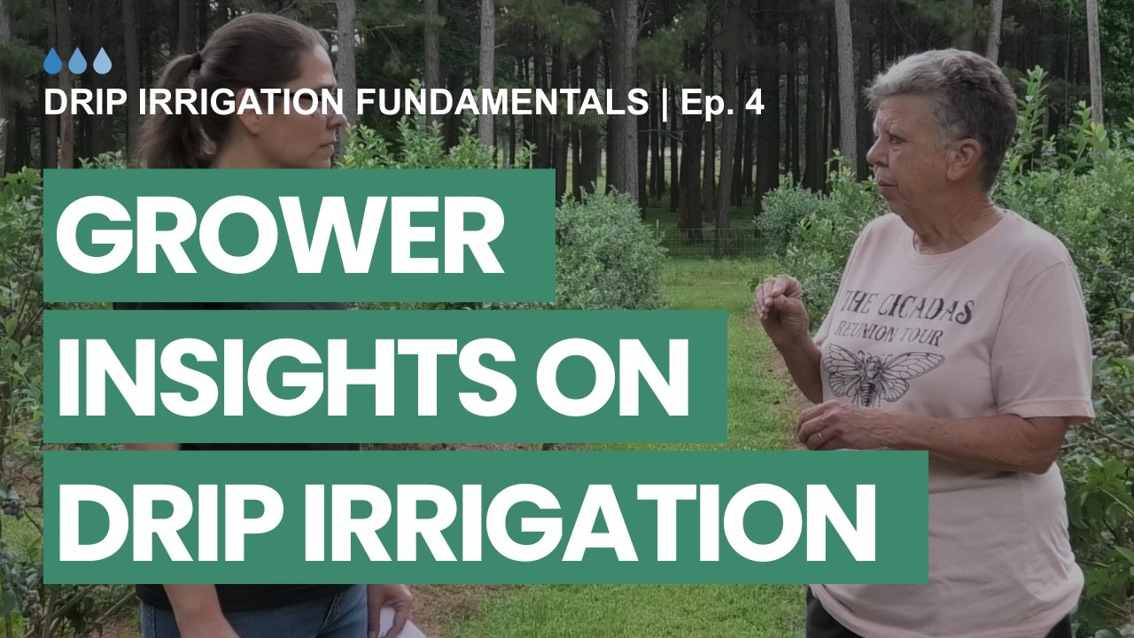 Grower Insights on Drip Irrigation | Drip Irrigation Fundamentals (Ep. 4)
