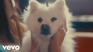 Michael Lanza - Friend (Official Music Video)