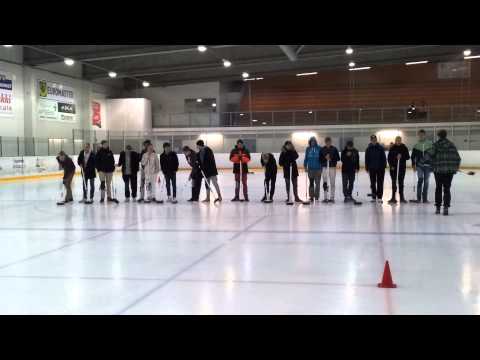 TPV Valkoinen harjanvarressa