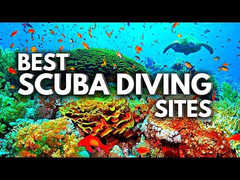 10 MELHORES destinos de mergulho no CARIBE 2023 | Guia de viagem
