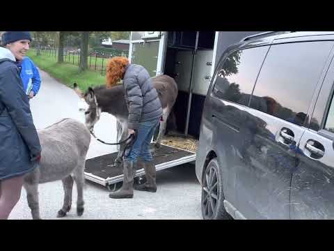 Bo und Josefine: Ankunft in der neuen Heimat (1 / 2)