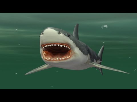 Jaws Unleashed (World Record) 33:59.43