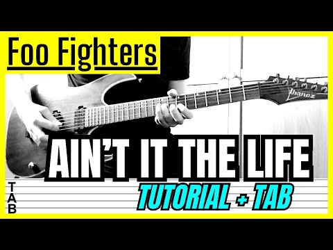 Ain't it the Life - Foo Fighters