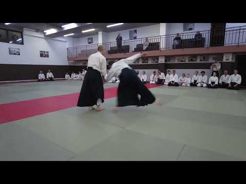 Hiroyuki Sakurai Shihan 7 Dan Aikido Aikikai (Romania)