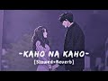 Kaho Na Kaho New Slowed Reverb Amir Jamal Apna Lofi Song