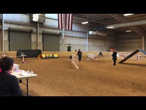 Enda MX #1, first MACH points