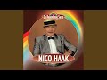 Nico Haak - Er valt 