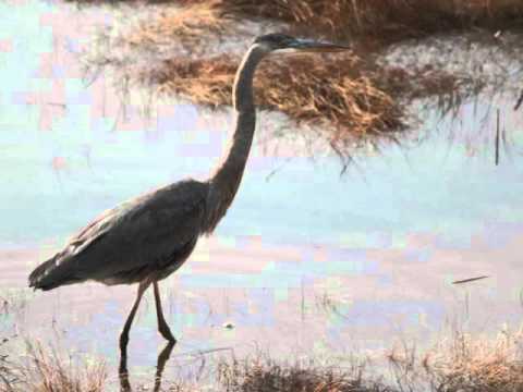 75 BEACH ST, MARBLEHEAD MA