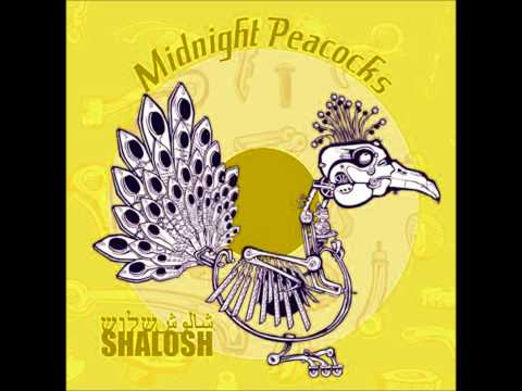 Midnight Peacocks - Tamnoon [Shalosh, 2008]