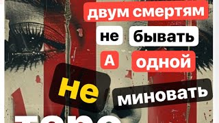 🐰♦️Двум смертям не бывать, а одной не миновать🦊 #магическиевойны #тарорас
