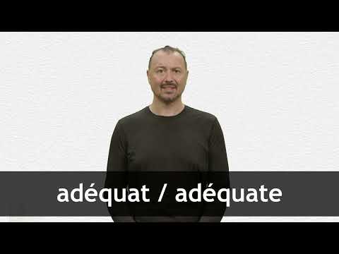 English Translation of “ADÉQUAT” | Collins French-English Dictionary