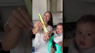 How Water Moves in Plants! - Water Science