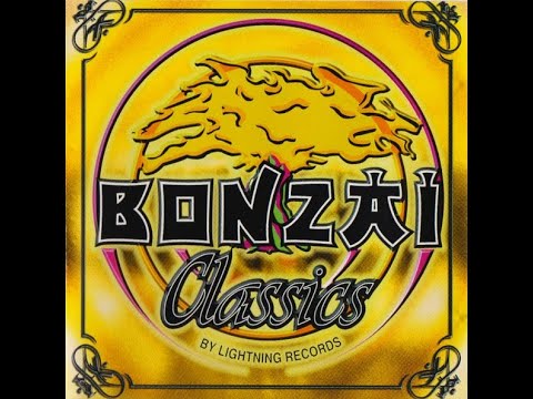 Flashback Rave Vol. 16 - Bonzai Rave Classics