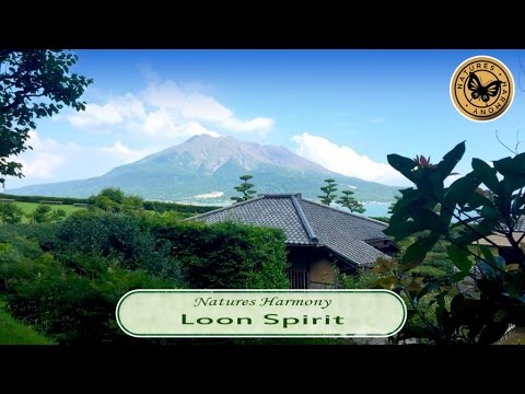 Nature´s Harmony - Nature´s Harmony : Loon Spirit