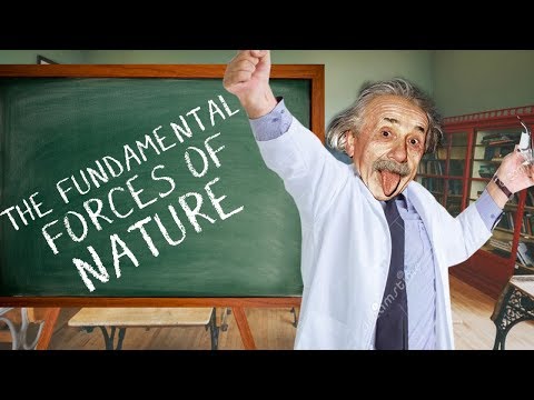 The Fundamental Forces of Nature