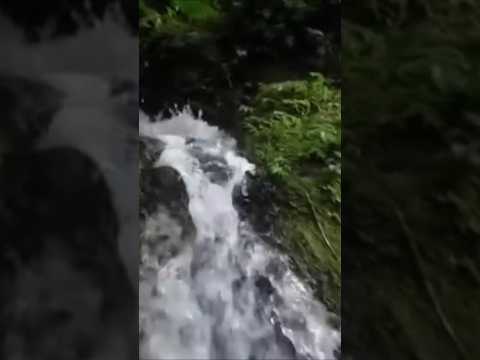 that is Nartre 🌿🍃